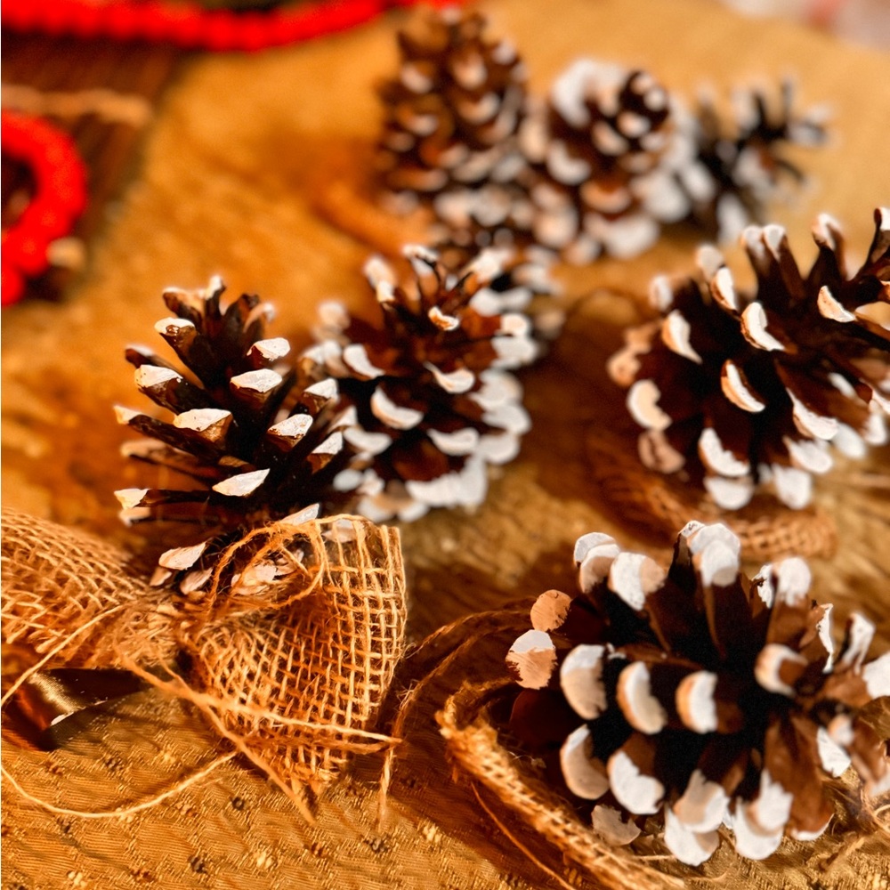 Handmade pine cones Christmas Ornaments